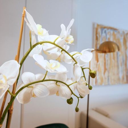 Tirso Suite Madrid Exterior foto